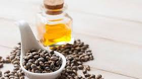5 Benefits and Uses of Castor Oil: The Natural Remedy You Need