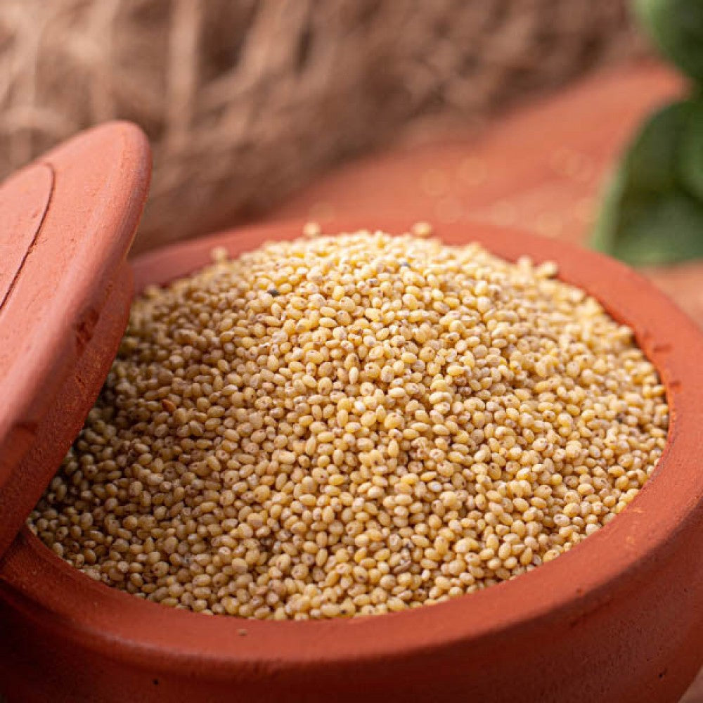 Millet grains in a wooden spoon on a rustic background