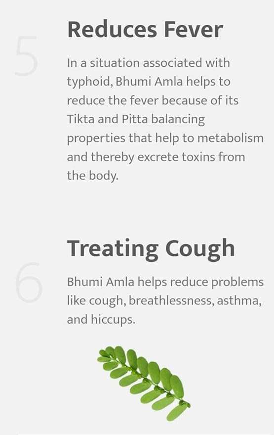 Parijata Herbs Bhumi Amla/Nelanelli Powder benefits like fever reduction and cough treatment.