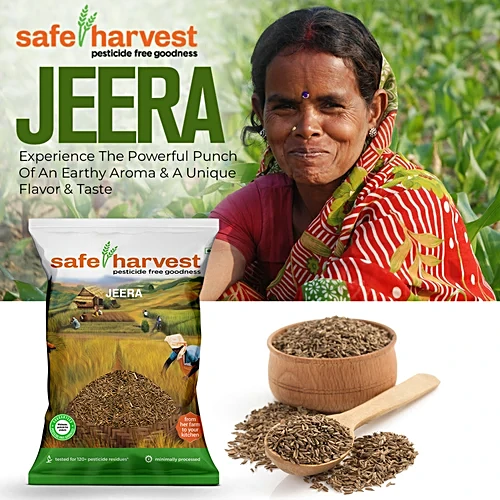 Cooked Jeera Rice Close-up