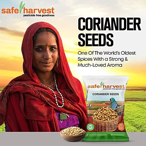 Coriander Being Roasted in Iron Pan