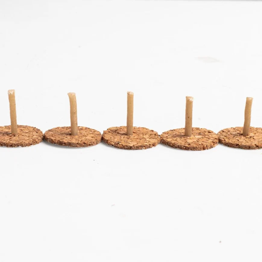 Decorative Bowl Setup with Floating Diya Wicks