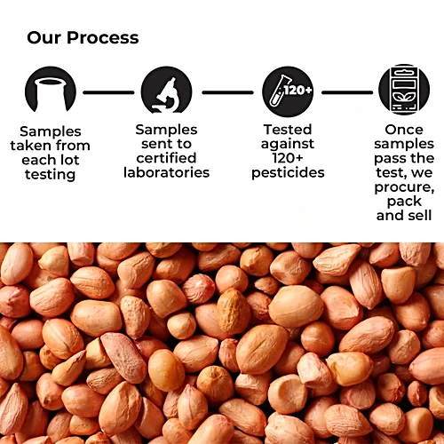 Farmer with Freshly Harvested Groundnuts