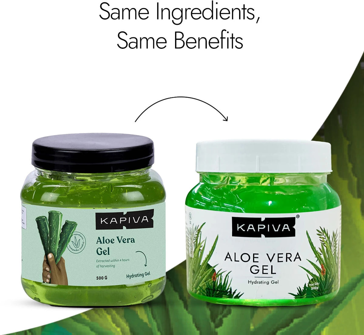 Gel texture scoop close-up