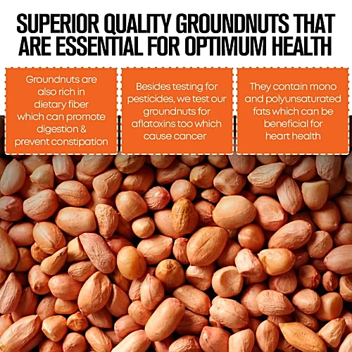 Groundnuts in Traditional Indian Spices