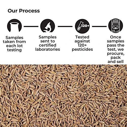 Homemade Garam Masala Ingredients