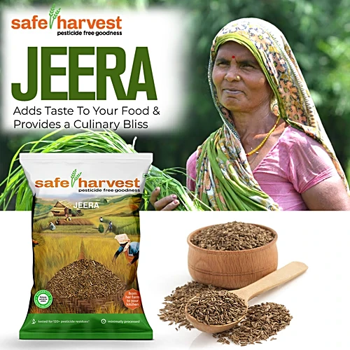 Jeera Rice Garnished with Coriander