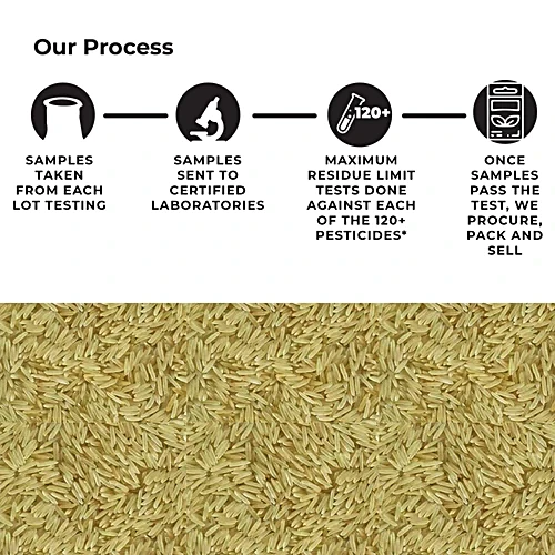 Measuring scoop of uncooked pesticide-free rice grains