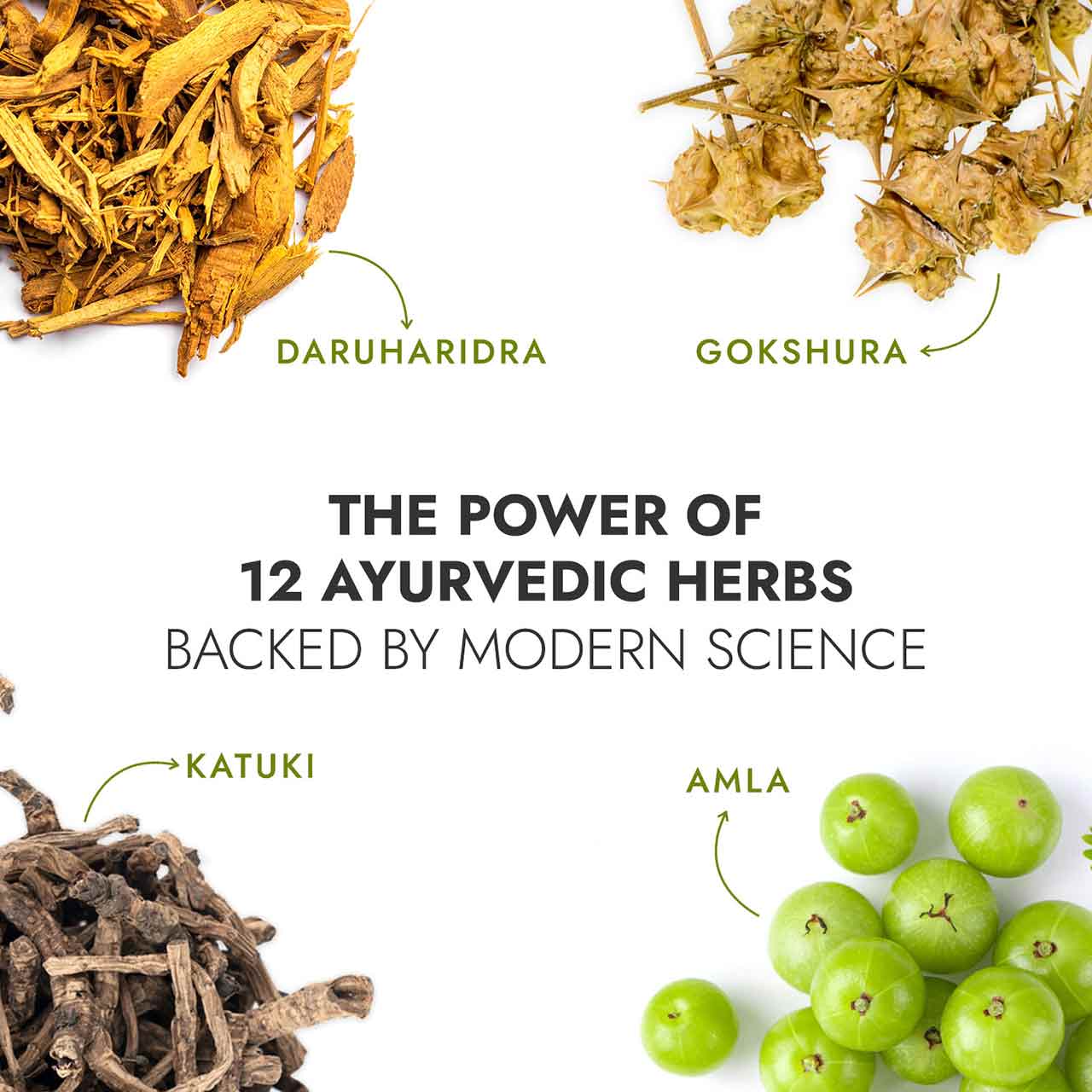 Natural fat burner visual theme with clean layout