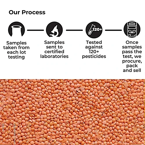 Pesticide-Free Black Masoor Farm Field