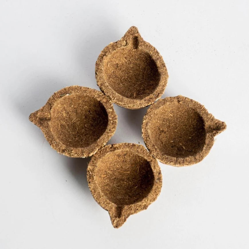 Pure Panchagavya Diya Setup for Spiritual Rituals