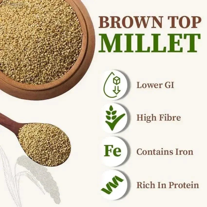 Sutra Unpolished Browntop Millet (Andu Korralu/Korale) | Healthy & NatBrowntop Millet