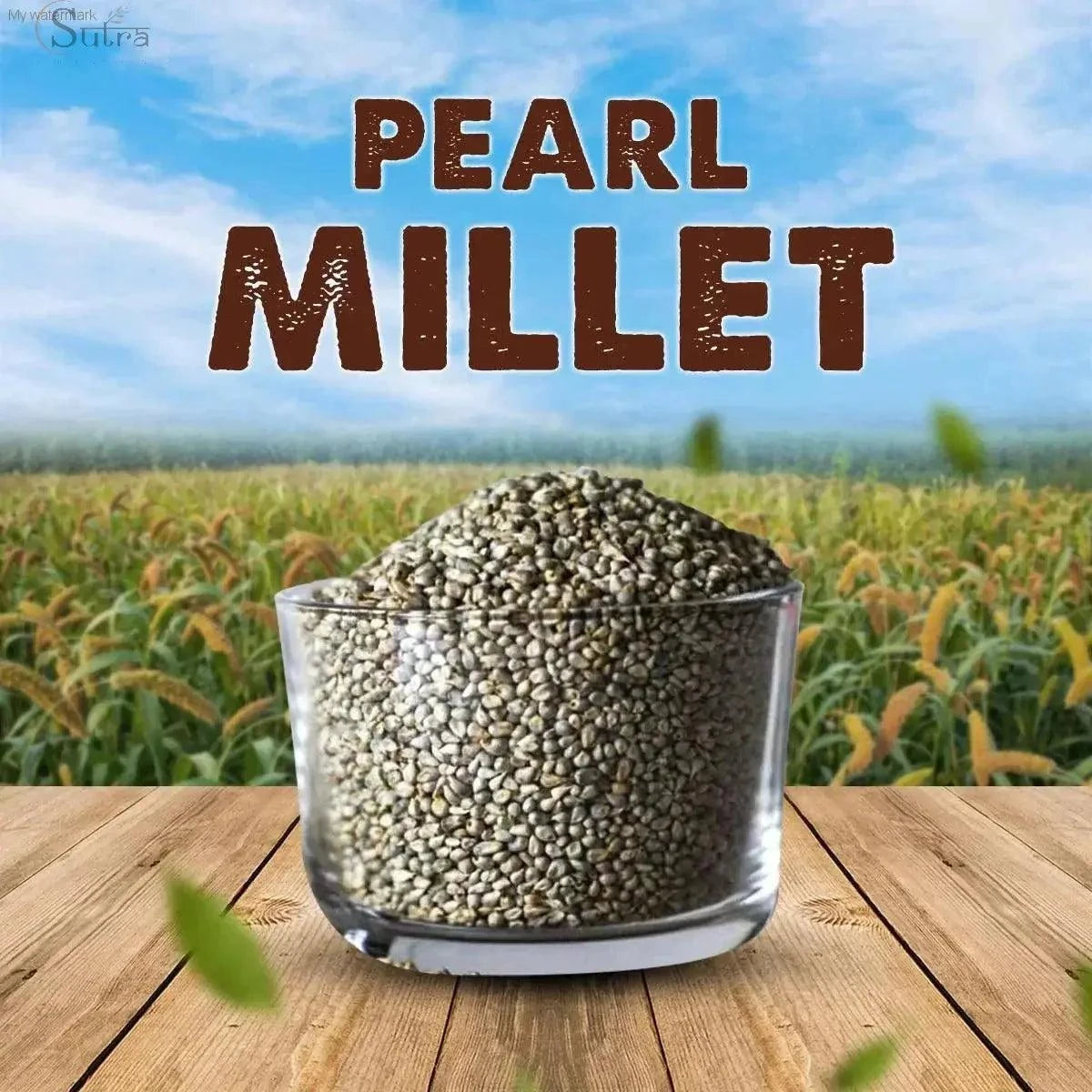 Sutra Natural Bajra Pearl Millet - Sajje | Wholesome & Nutritious GrPearl millet