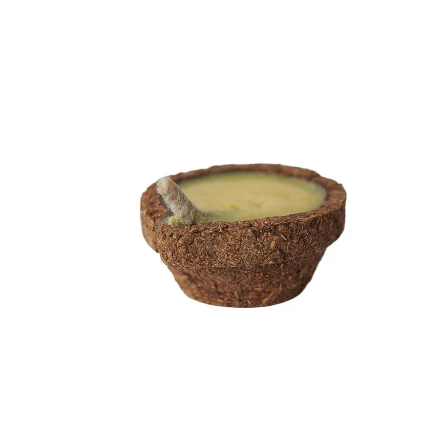 Traditional Ghee Diya for Hindu Rituals and Aarti