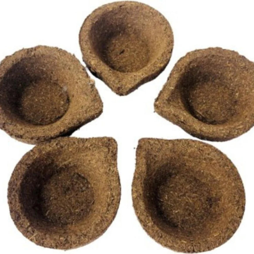 Traditional Rituals with Swaha Panchagavya Diyas