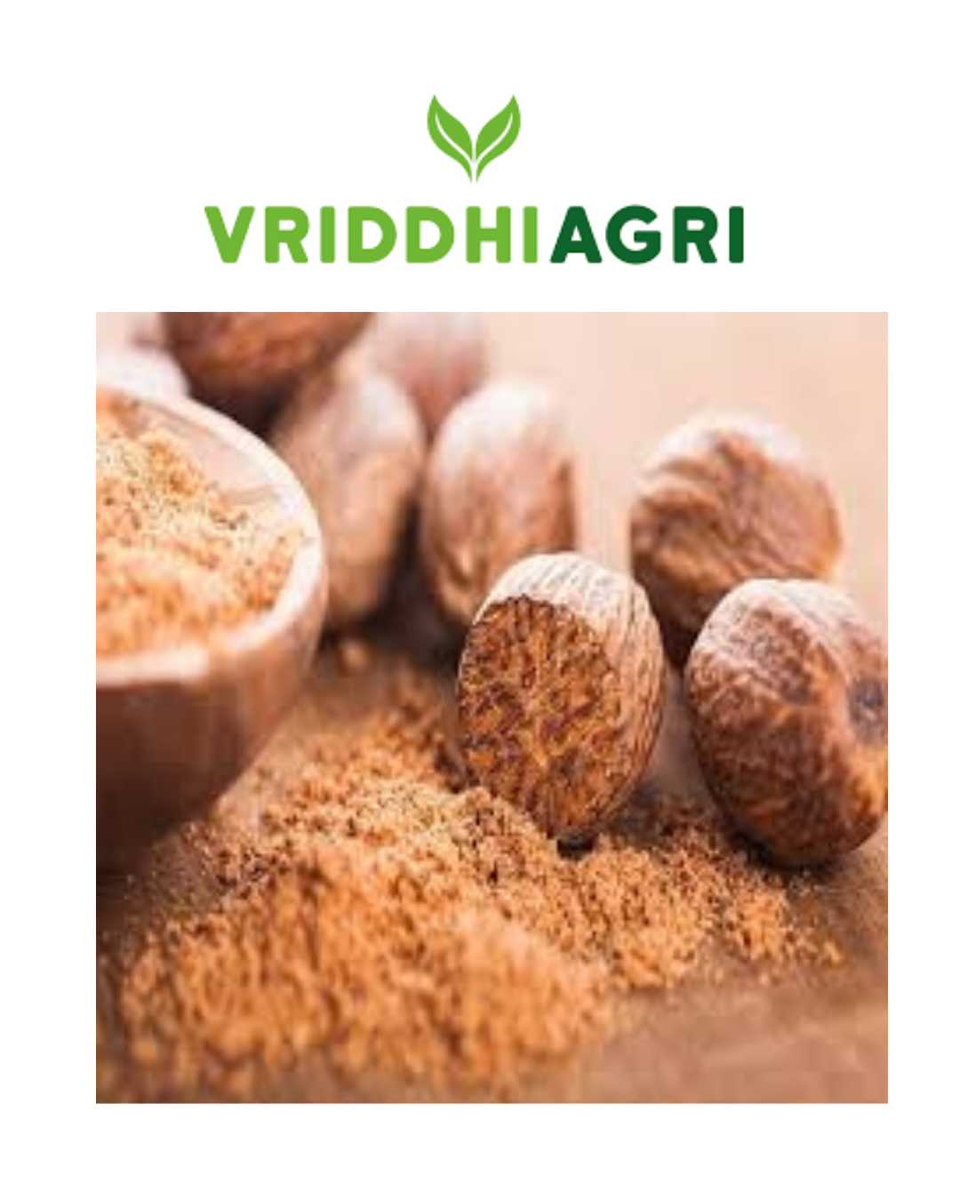 Organic Nutmeg – 50GM | Whole Jaiphal for Baking, Spices & Ayurveda