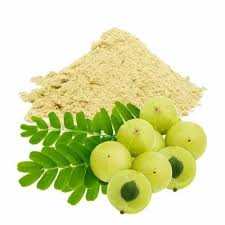 Ayurvedic Amla Powder for Hair Growth and Scalp Care