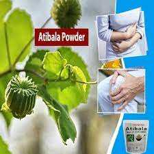 Parijata Herbs Atibala Leaf Powder for strength and wellness