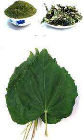 Parijata Herbs Atibala Leaf Powder, Ayurvedic wellness tonic.