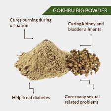 Parijata Ayurveda Gokhru Powder for strength and vitality, natural health benefits highlighted.
