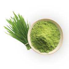 Parijata Herbs Wheatgrass Powder in a bowl with fresh wheatgrass.