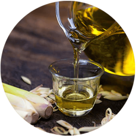 Non Edible Oils