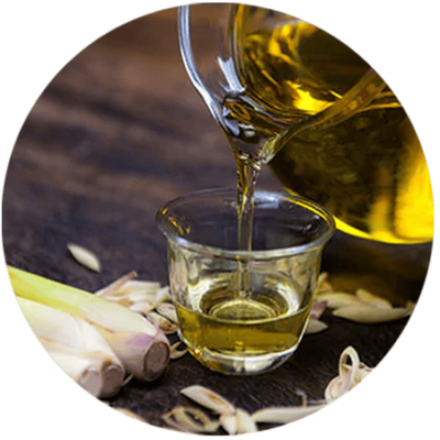 Non Edible Oils