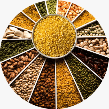 Pulses