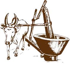 Buy Wooden Cold-Pressed Oils Online Bangalore – 100% Pure & Fresh