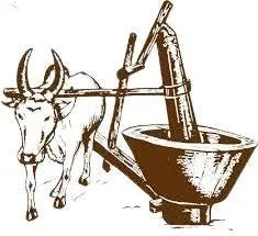 Shop Cold Pressed Oils – 100% Pure & Natural | Sutrakart - SUTRA