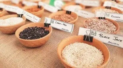 Shop Rajmudi Rice & Indian Rice Collection – Organic & Premium - SUTRA 