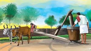 Traditional old bull-driven Ghani method producing cold-pressed oils, showcasing natural and chemical-free extraction