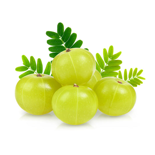 EARTHOS Amla Powder 100g – Front Pack