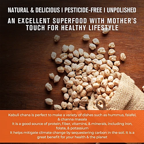 Hummus Made from Large Kabuli Chana