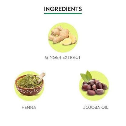 Ingredients of JOVEES Herbal Henna Mehndi showing ginger extract, henna, and jojoba oil.
