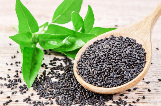 Safe Harvest Basil Seeds 250g front pouch 