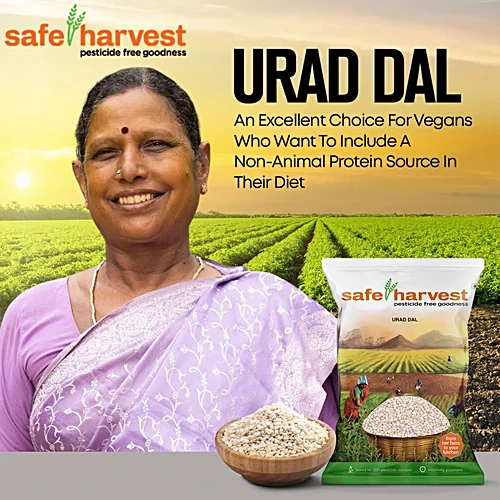 Soaked urad dal ready for grinding batter
