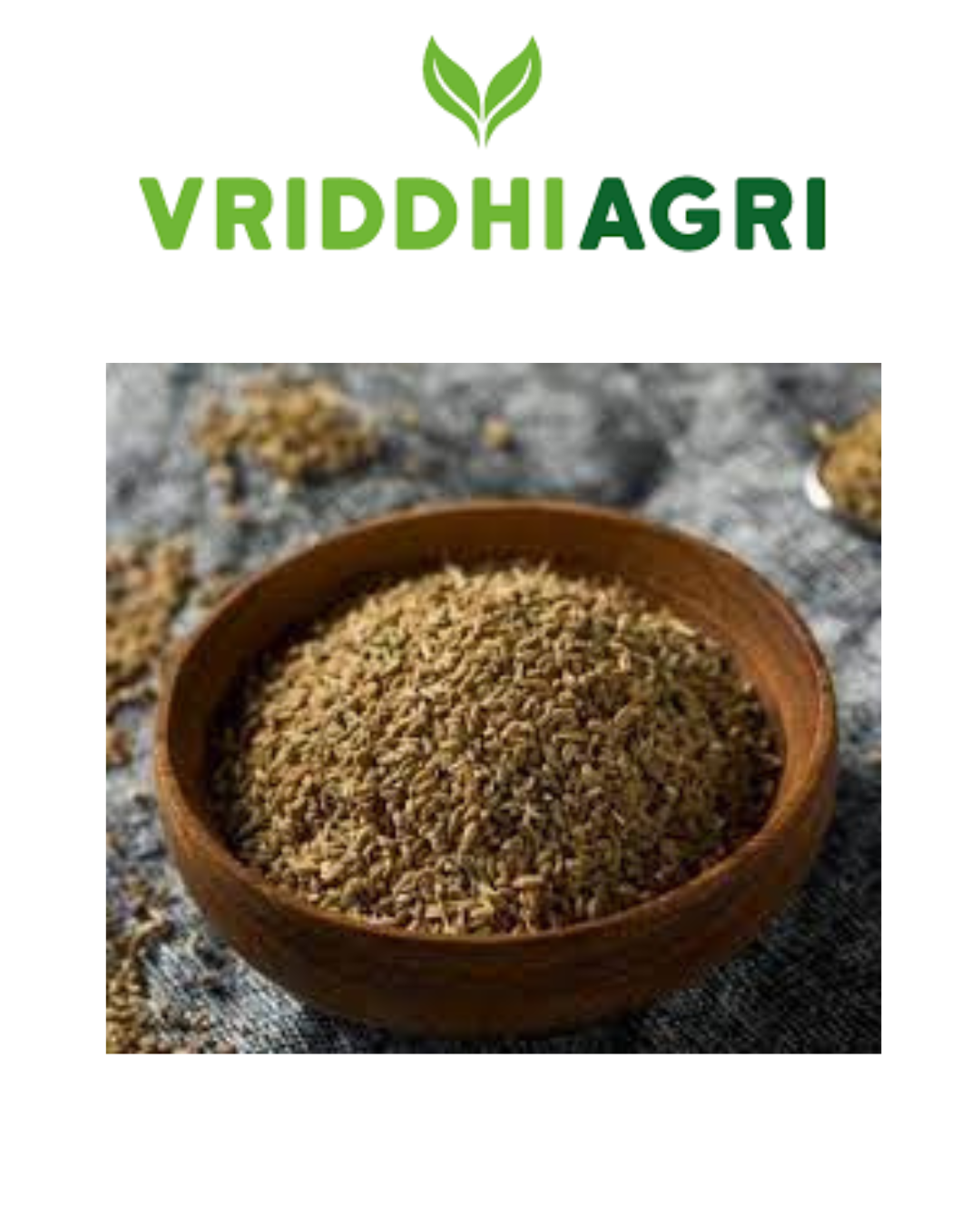 Vriddhi Organic Ajwain 100 gm – 100% Natural Carom Seeds Vriddhi