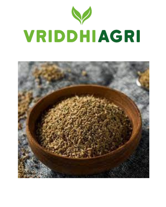 Vriddhi Organic Ajwain 100 gm – 100% Natural Carom Seeds Vriddhi