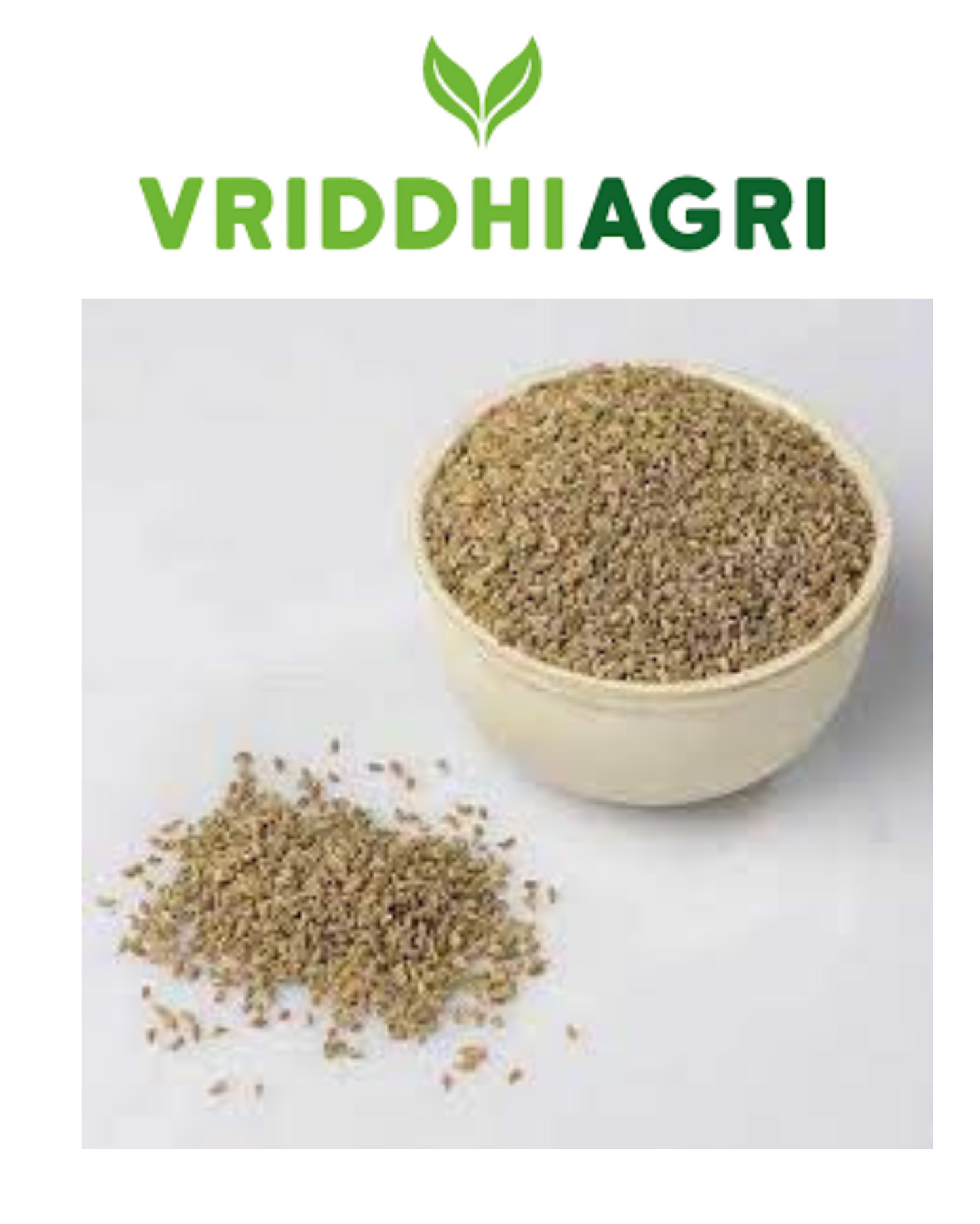Vriddhi Organic Ajwain 100 gm – 100% Natural Carom Seeds Vriddhi