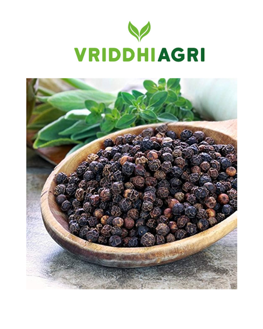 Organic Black Pepper Whole – 100GM | Premium Quality & Flavor
