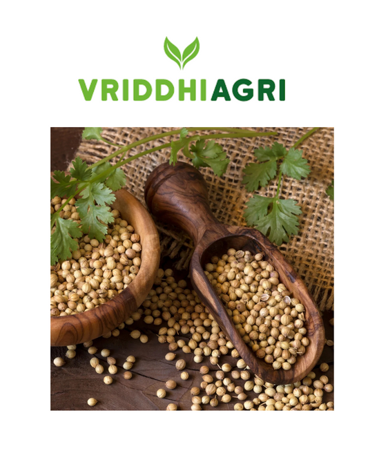 Organic Coriander Whole – 200GM | Fresh, Aromatic & Natural