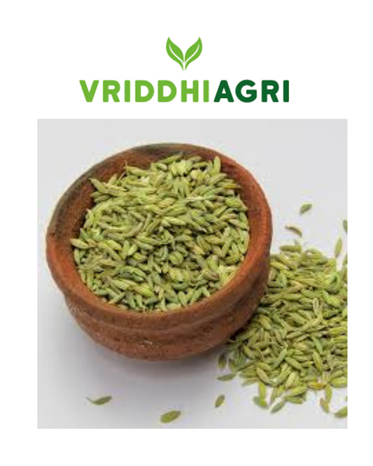 Organic Fennel Seeds – 100GM | Sweet & Aromatic Saunf for Digestion & Flavor