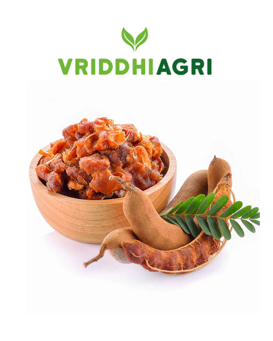 Organic Tamarind Whole – 500GM | Natural Imli for Authentic Sour Flavor