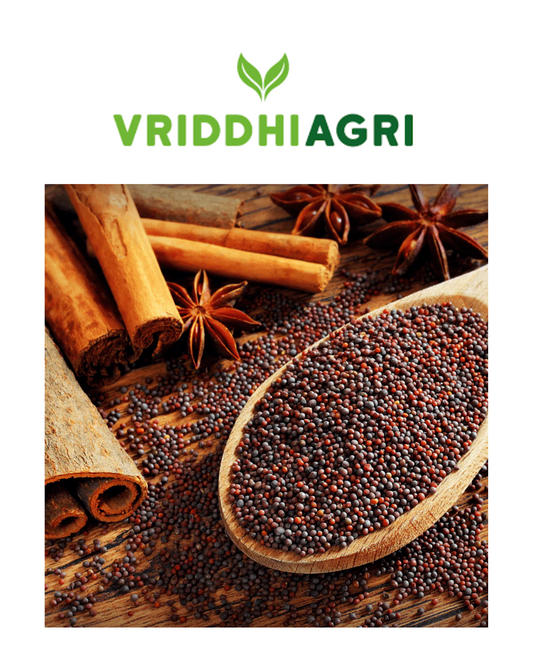 Organic Mustard Seeds – 200GM | Bold, Natural Flavor for Cooking & Pickles