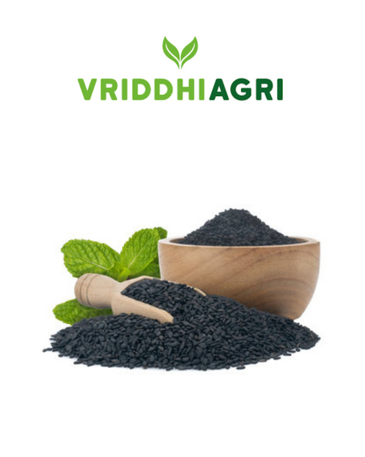 Organic Black Sesame Seeds – 100GM | Rich in Nutrients & Bold Nutty Flavor