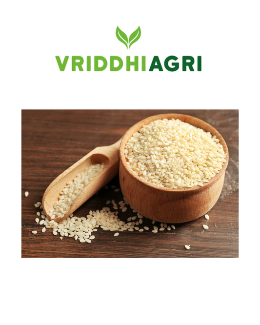 Organic White Sesame Seeds – 100GM | Natural Til for Cooking, Sweets & Health
