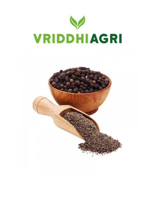 Organic Black Pepper Powder – 100GM | Bold & Aromatic Kali Mirch for Cooking & Health