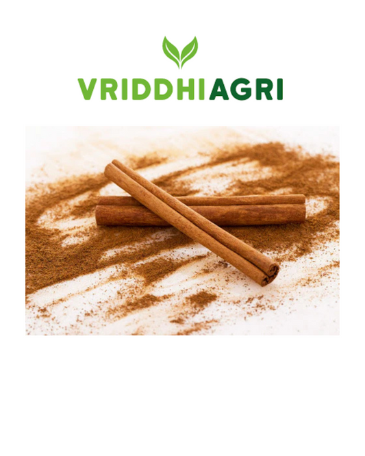 Organic Cinnamon Bark – 100GM | Pure Dalchini for Sweet & Savory Recipes