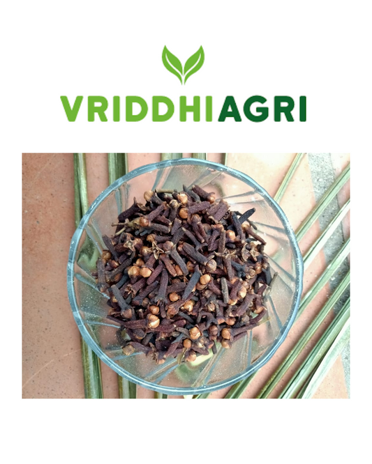 Organic Clove Whole – 50GM | Aromatic & Freshly Sourced Cloves